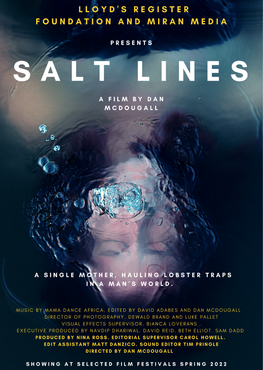 Salt lines