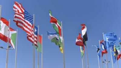 Several world flags