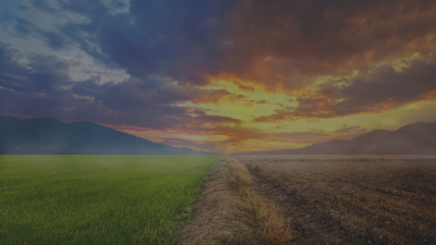 A field showing the signs of a world with and without climate change.