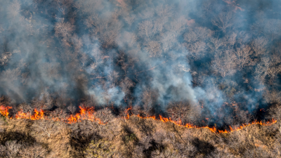 A forest fire in Africa.