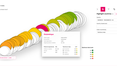 A screenshot of the Resilience Index.