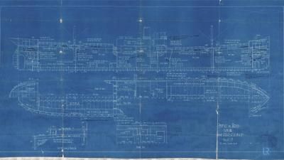 A Profile & Deck Plan for the ship Roy, dated 17th September 1919.