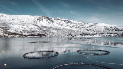 An Arctic fish farm.