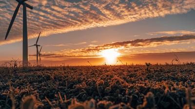 Windmill farm against sunset