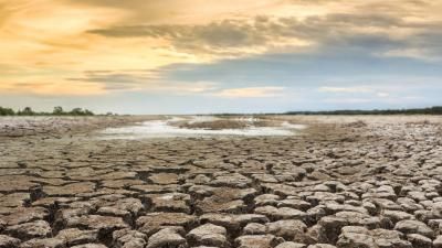 Water drought on cracked soiled