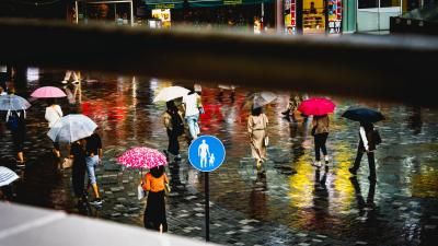 People holding colourful umbrellas in rain
