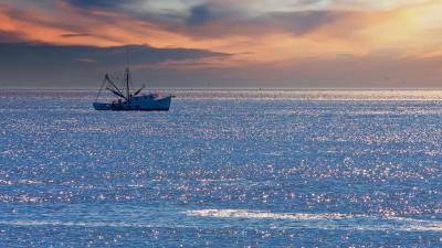 A shrimp boat off the coast in the morning