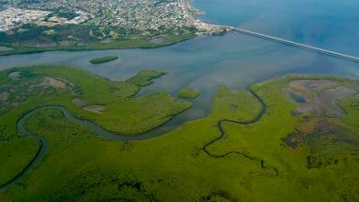 Moreton Bay