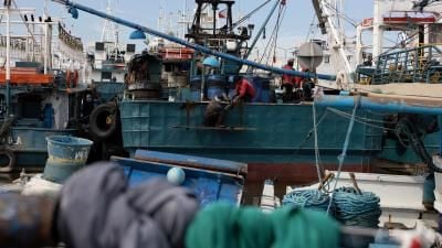 Busy fishing harbor with blue trawlers docked together, crew working on vessels among ropes and equipment.