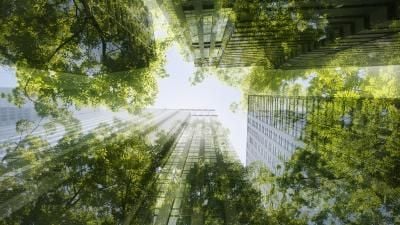 Looking up at modern glass skyscrapers with tree foliage overlay, creating a harmonious urban-nature blend.
