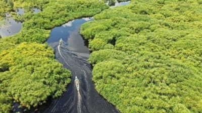Aerial view of two boats navigating through a winding river surrounded by lush green wetlands.