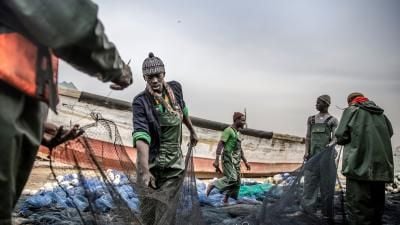 Fishermen in green waders working with fishing nets on a beach, with boats visible in the background.